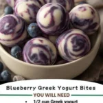 Frozen Blueberry Greek Yogurt Bites